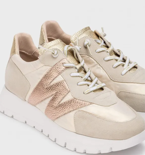 WONDERS A-2464  Gold Trainer